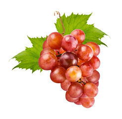Grape isolated on white background with clipping path