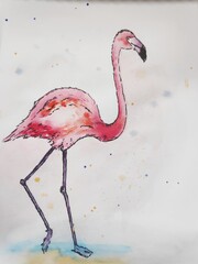 watercolor sketch of pink flamingo