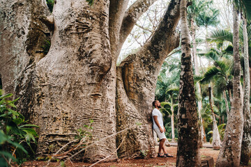 A man next to a baobab tree in a botanical garden on the island of Mauritius