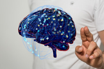 Creative background, the human brain on a blue background, the hemisphere