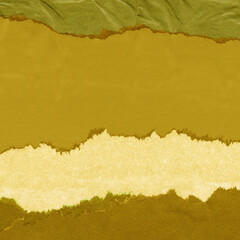 Green torn paper collage close-up. Texture made from various paper and cardboard parts. Damaged old paper background. Vintage blank wallpaper. Material design backdrop.