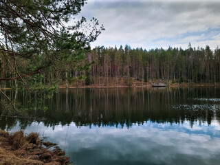 Fototapeta premium Lake in the forest. Reflection of the trees in water