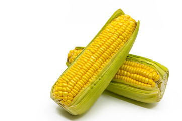 Isolated organic fresh yellow sweet corns on white background with clipping path. Two fresh corns, one is on the others one.