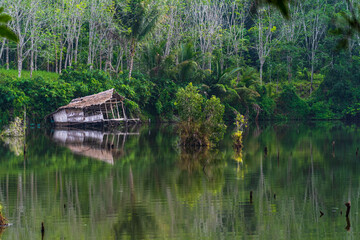 An old houseboat and was broken in a pond