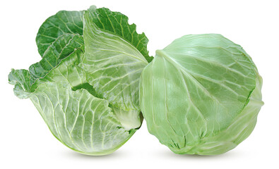 Fototapeta premium Cabbage isolated on white background