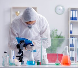 Scientist doing animal experiment in lab with rabbit