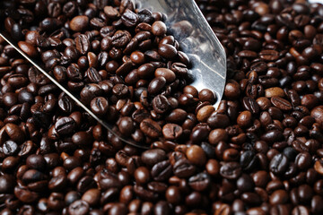 Scoop out ripe coffee beans using a large spoon made of wood and iron. Coffee beans scattered on the floor. Details texture of dark brown coffee beans. Graphic resourches for design template.