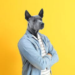 Stylish man with head of dog on color background