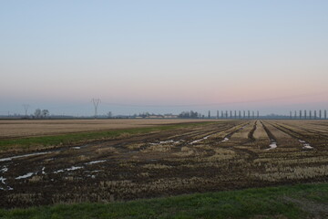 Campagna lomellina al tramonto