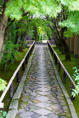 京都鷹峯の寺院の参道