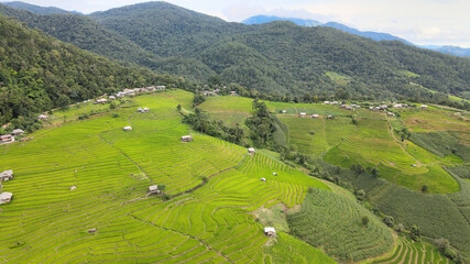Fototapeta na wymiar rice fields in Pa Pong Pieng , Mae Chaem, Chiang Mai, Thailand.