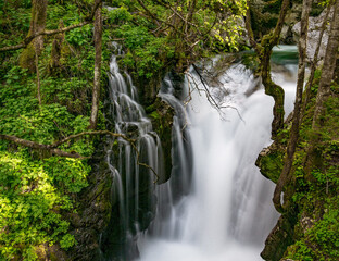 Long exposure mage of waterfall and cascades in lush green forest. Soca river, Slovenia.