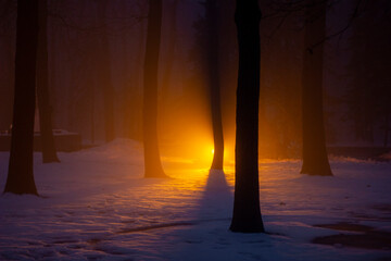 A magical, surreal scene of a snow-covered path in a forest at night, illuminated by a single glowing orange street light, with bare tree trunks and a foggy atmosphere