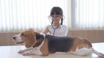 Little child girl playing doctor with her small cute dog at table Vet Clinic Examines Dog