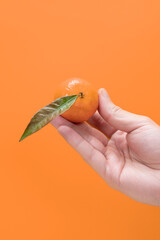 Fresh tangerine with leaf in hand on orange background.