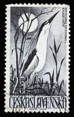 Stamp printed in Czechoslovakia shows Black-crowned Night Heron (Nycticorax nycticorax), circa 1960