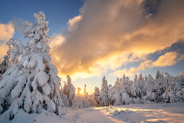 magisches Licht im Winter