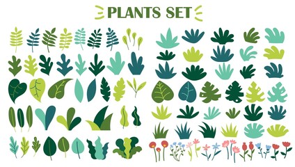 Collection of wild plants, leaves and flowers isolated on white background. Set of decorative floral design elements. Flat cartoon vector illustration © Алина Калугина