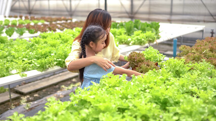 Mother With Daughter Harvesting vegetable On Farm