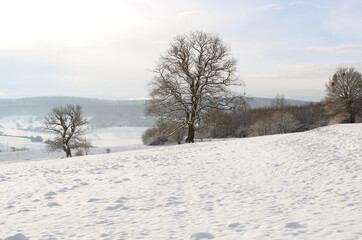 winterlandschaft