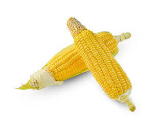 corn isolated on white background