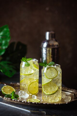 Summer drink green Iced tea with lemon slices and mint on dark background