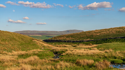 Fototapeta premium Yorkshire Dales landscape with Pen-Y-Ghent in the background, near Ribblehead, North Yorkshire, England, UK