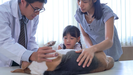 Veterinarian doctor and a labrador puppy at vet ambulance