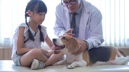 Little child girl playing doctor with her small cute dog at table Vet Clinic Examines Dog