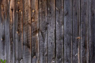 Obraz premium old wooden board wall