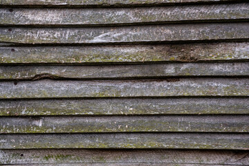 old wooden board wall