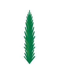 pine leaf decoration christmas icon