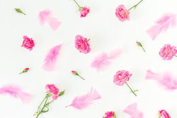 Floral pattern with pink roses flowers and feathers on white background. Flat lay