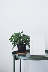 Photo frame and plant in a pot