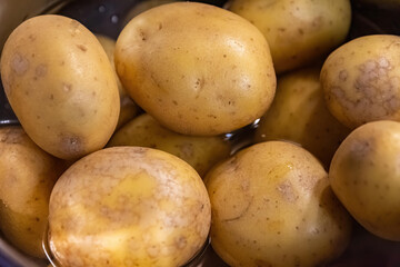 boiled potatoes in a pot