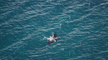 Naklejka premium the view of a manta ray from the light house Farol de Dona Amelia in Sao Pedro, on the island Sao Vicente, Cabo Verde, in the month of December