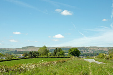 Obraz premium Welsh countryside road in the summertime.