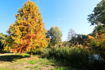 The Wertwiesen Park in Heilbronn, Germany, Europe