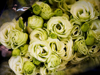 bouquet of green color roses