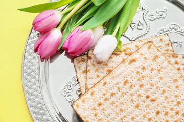 Composition with Passover Seder plate on color background