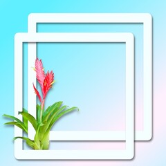 Two white frames overlap decorated with the red ginger flower on blue and pink pastel color gradient background.