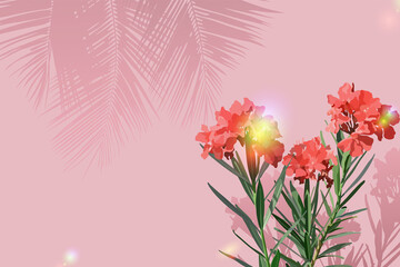 Sweet olender flowers on pastel pink wall and shadow of coconut leaves, with rainbow light effects, sunday sunny summer feelings illustration background design