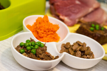 Preparing natural organic food for pets at home. Raw ingredients for pet food in bowl