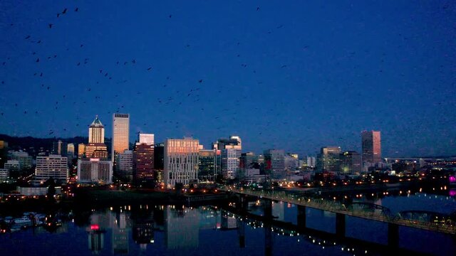 Massive Murder of Crows Flying over the Willamette River in Portland Oregon at Sunrise 