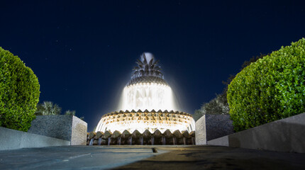 Pineapple fountain