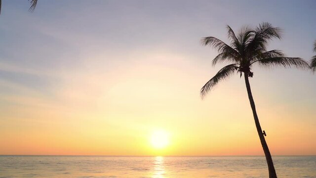 Exotic view of sunset over sea with palm tree silhouette. Slow-motion