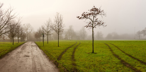 A country road among misty fields of Harrow on the Hill School in winter, England 
