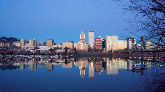 Massive Murder of Crows Flying over the Willamette River in Portland Oregon at Sunrise 