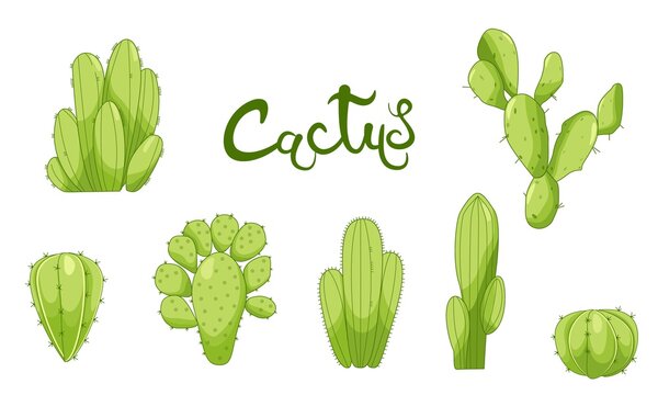 Different types of cactus plants decorative icons set isolated vector illustration. Cartoon cactus set. Vector set of bright cacti. Colored, bright cacti flowers. Cactus lettring