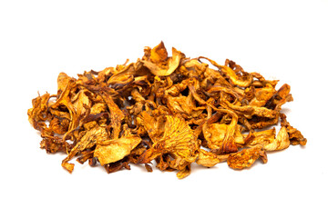 Golden chanterelle